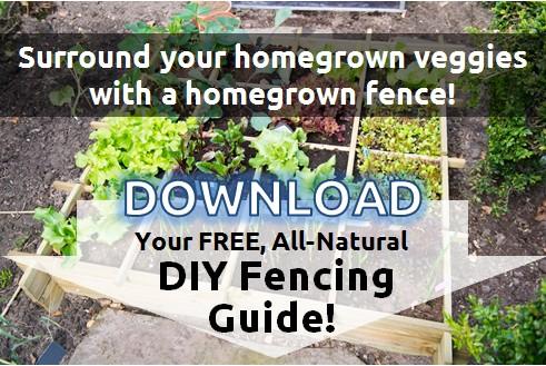 Download our DIY fencing guide