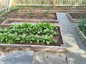 The Fence Authority's own veggie garden at our West Chester location!