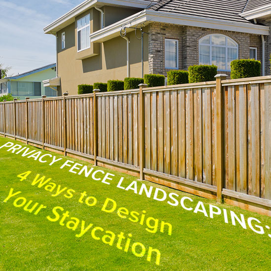 privacy fence landscaping 