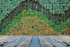 Hey! It's a mural AND a vertical garden!