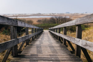 wooden stairs to bay