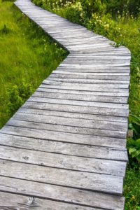 wood-panel-path