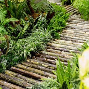 wooden-garden-path