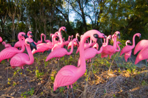 A few too many lawn ornaments in this front yard landscaping.