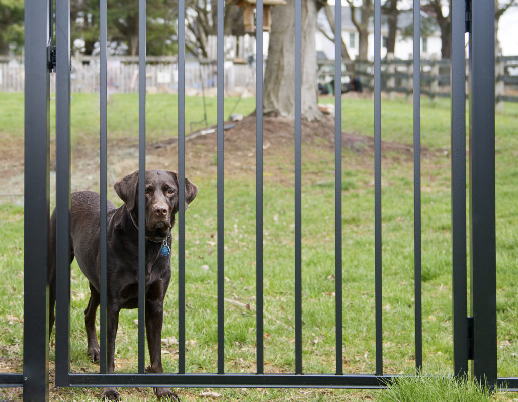 aluminum fence dog protection