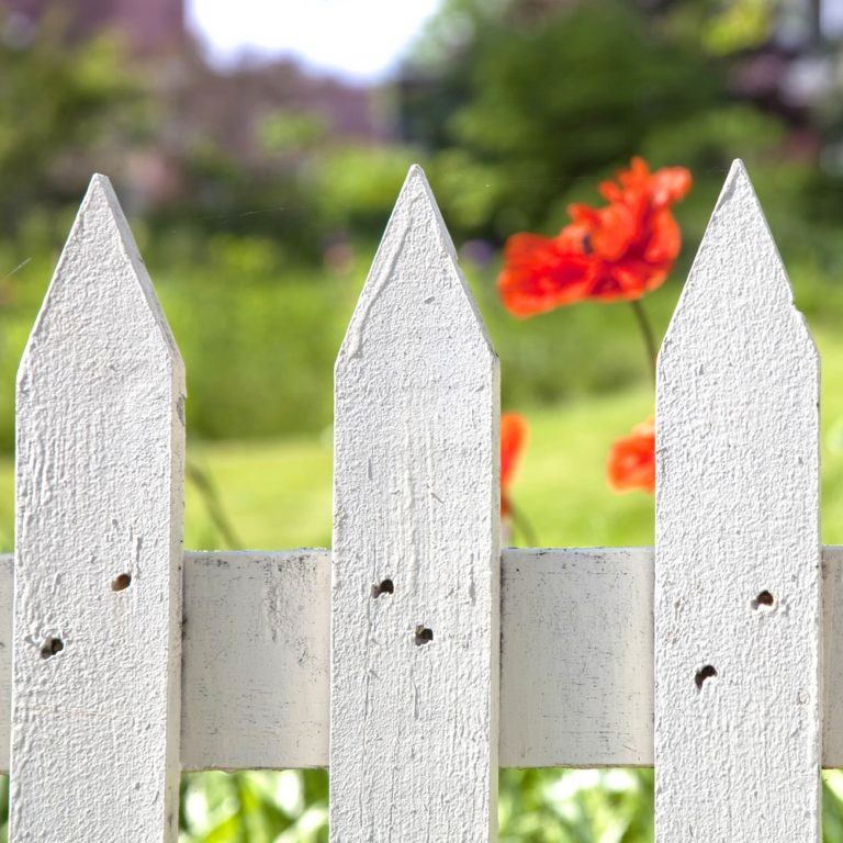 Should I buy individual fence pickets or premade fence panels?